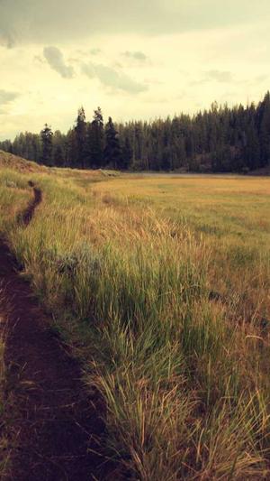 蜘蛛池价格全首zjkwlgs截图3