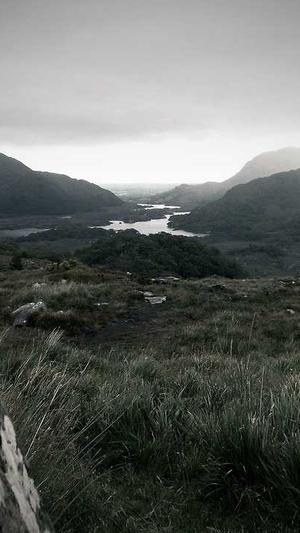 蜘蛛池怎么养截图3