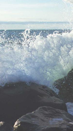 珠海seo优化截图4