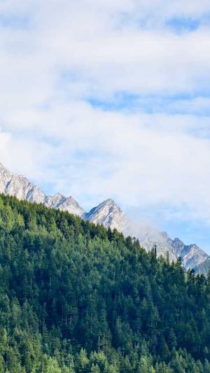 杭州网站制作杭州网站建设杭州网站设计杭州网站设计截图2
