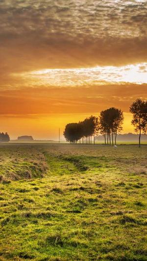 东莞网站建设截图4