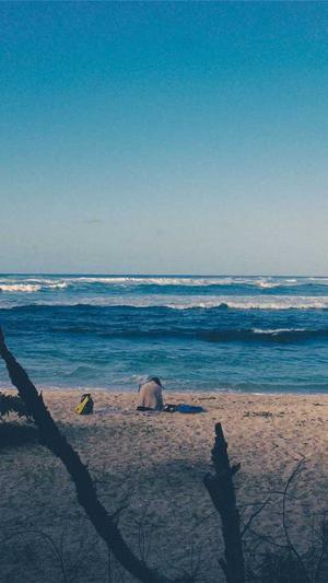 蜘蛛池免费seo教程截图2