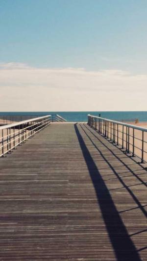 seo蜘蛛工具截图2