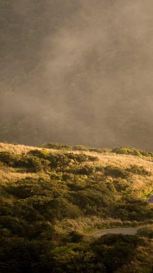 seo排名工具截图3