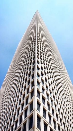 黑帽seo站群工具截图5