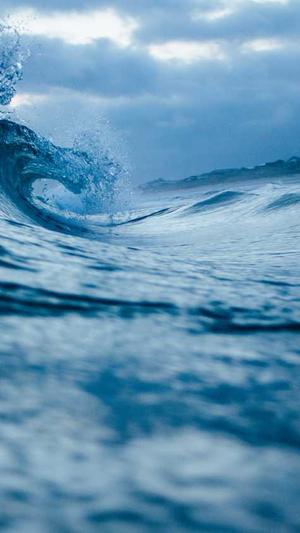 seo优化公司截图4