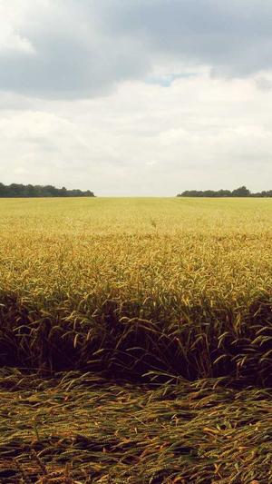 淮安市网站建设截图2