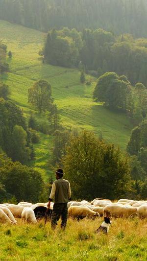 蜘蛛池工具下载截图4
