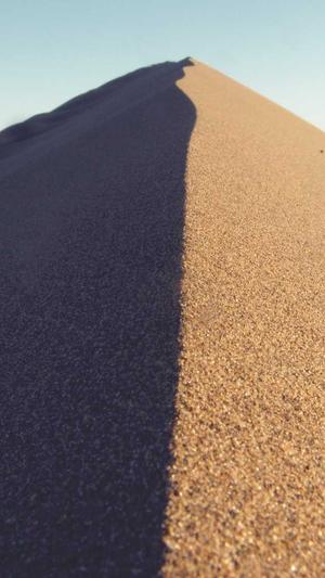 蜘蛛池图片大全大图截图1