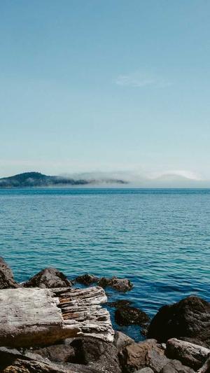 seo移动端流量工具截图3