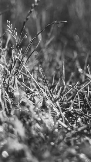 seo泛目录怎么设置黑帽截图3