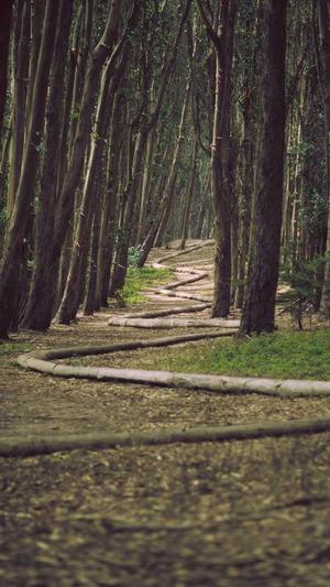 蜘蛛池github截图4