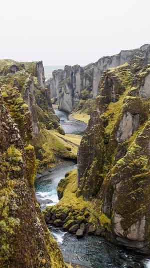 厦门seo工具截图3