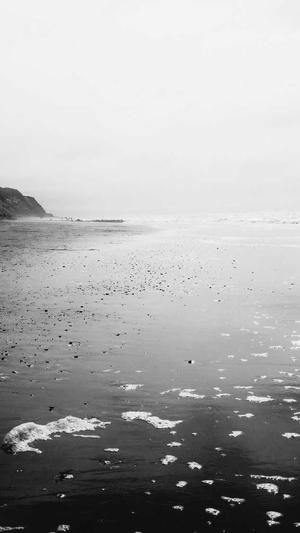 国内外网站建设截图5