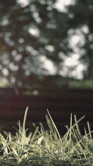 网站公司网站建设截图3