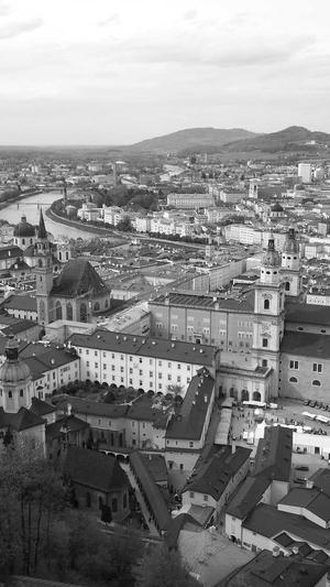 蜘蛛池工具下载截图3