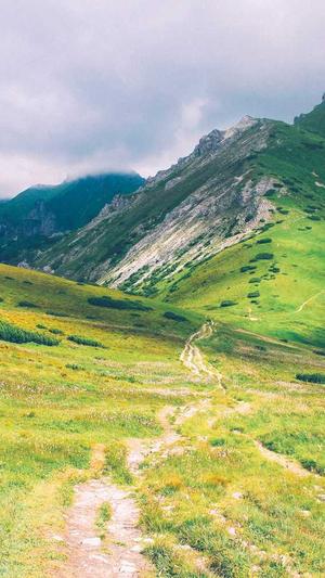 广州网站建设网站截图2