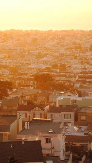 seo工具推广截图1