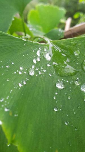 逐鹿泛目录下载截图2