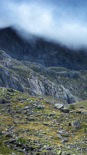 seo工具箱官方最新版截图2