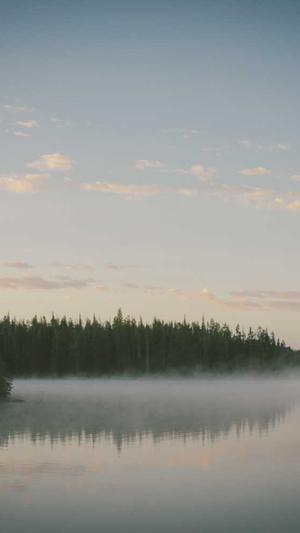 如何seo优化网站截图1