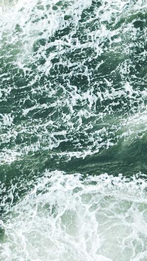 优化蜘蛛池截图1