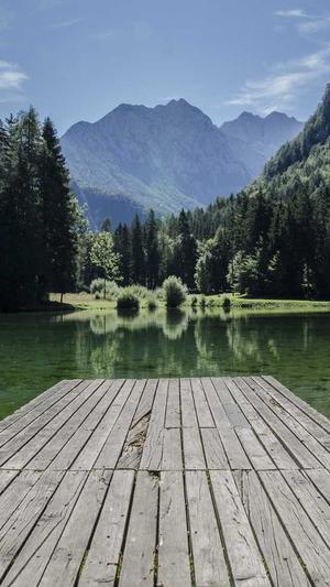 蜘蛛池能放内页链接吗截图1