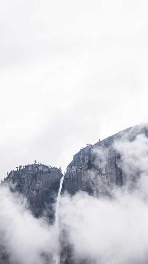 蜘蛛池怎么样引蜘蛛截图2