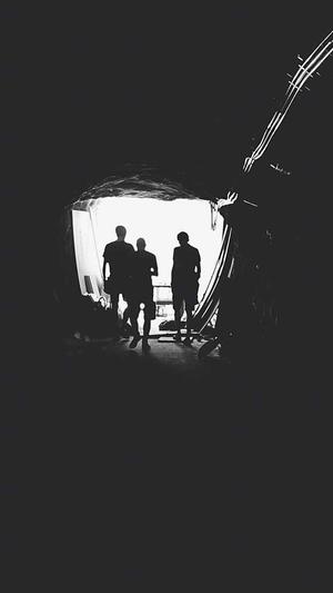 蜘蛛池秒收录截图5