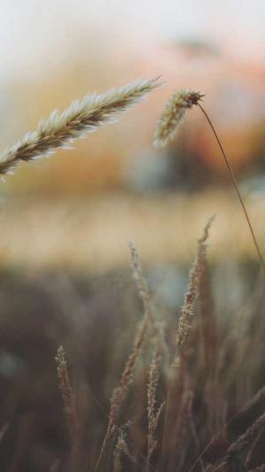 珠海seo优化截图2