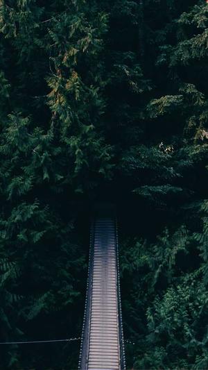 seo综合优化截图1