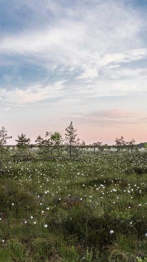 新余网站建设截图2