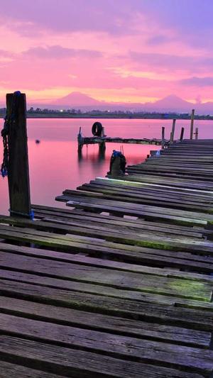 宝安seo工具截图2