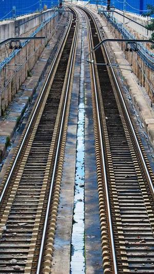 蜘蛛池github截图3