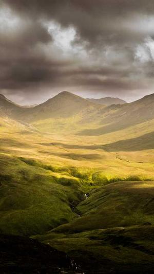 百度seo优化服务截图3