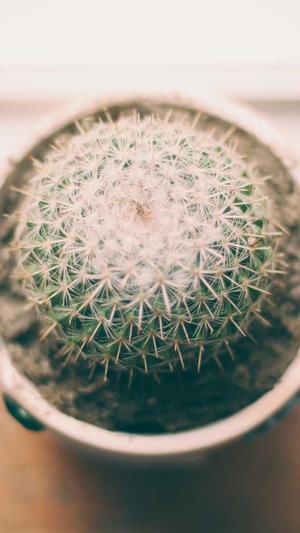 吾乐吧的seo自动外链工具有用吗截图1