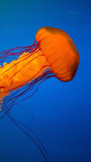 蜘蛛池程序源书籍截图4