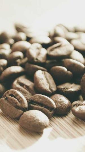 泛目录最新截图2