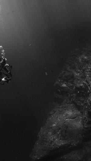 seo管理工具截图2