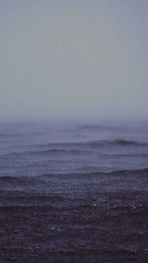 蜘蛛池使用视频截图4