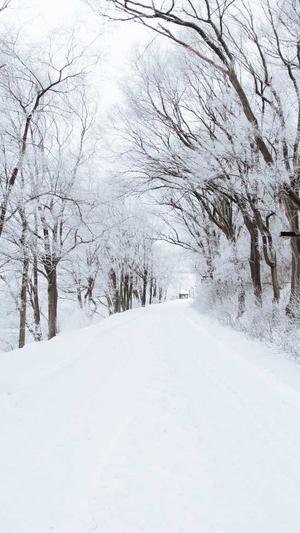 网站建设seo截图2