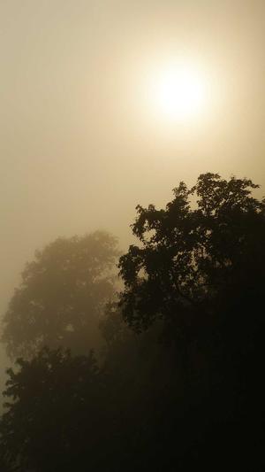 站长工具SEO综合查询截图3