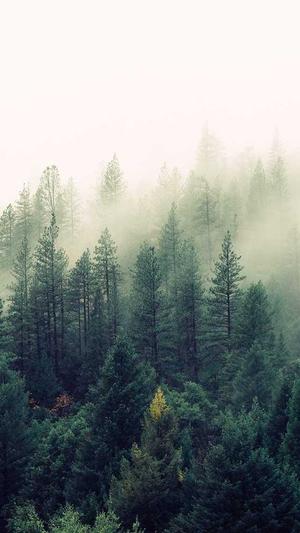 在线seo超级外链工具截图5