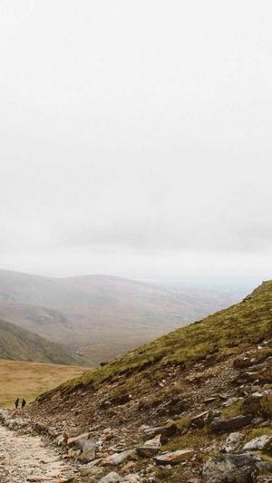 站长工具seo推广秒收录截图2