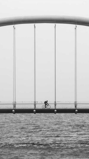 绍兴网站建设截图3