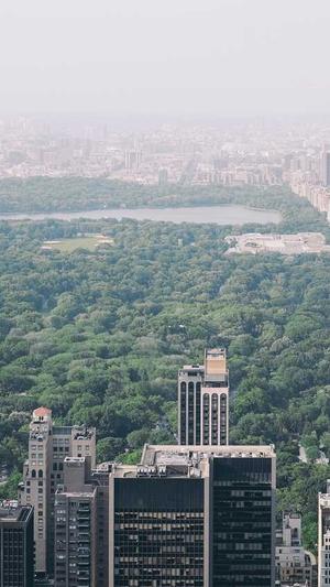 泛目录站群词霸截图1