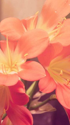 泛目录程序截图1