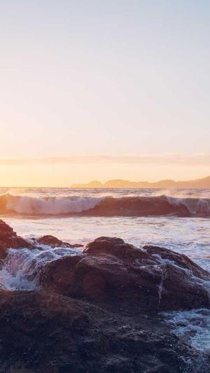 小旋风蜘蛛池原理截图1