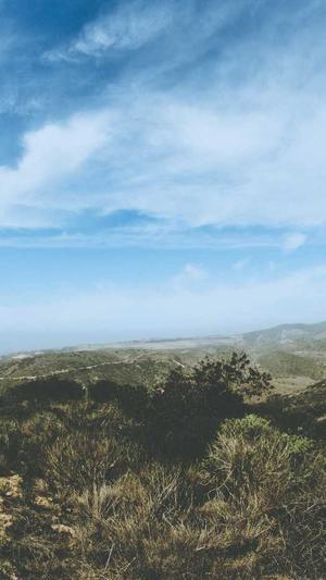 逐鹿泛目录下载截图5