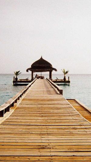 SEO分析工具截图1